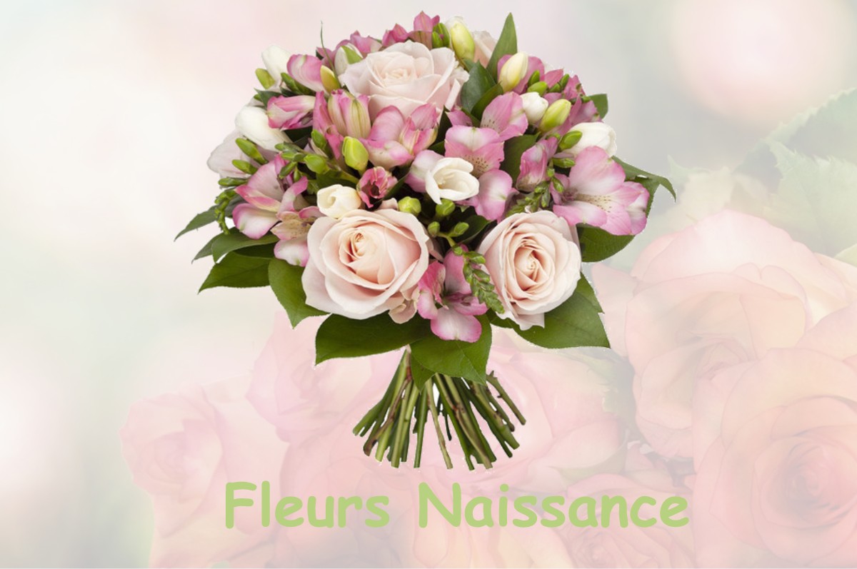 fleurs naissance AUSSON