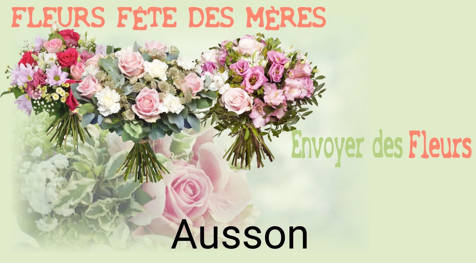 Bouquet de Fête des Mères livré à Ausson