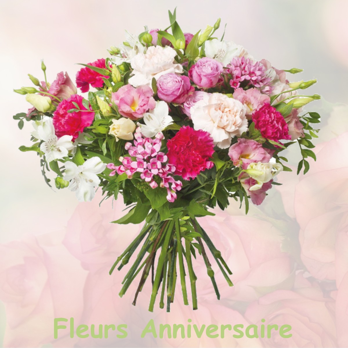 fleurs anniversaire AUSSON