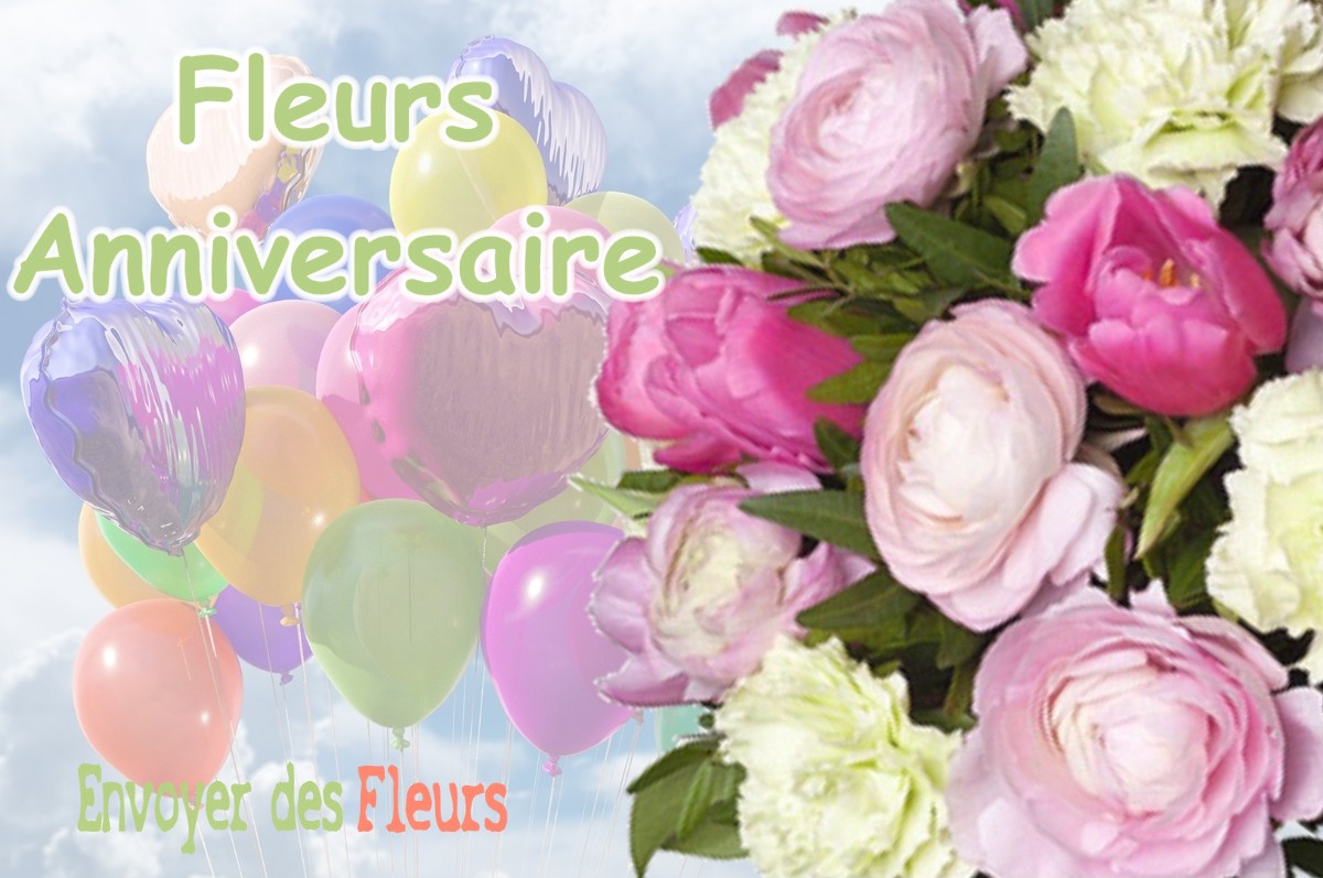 lIVRAISON FLEURS ANNIVERSAIRE à AUSSON