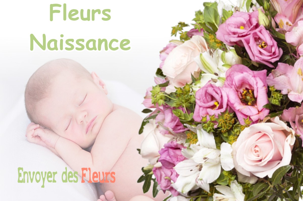 lIVRAISON FLEURS NAISSANCE à AUSSON