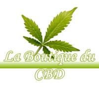 LA BOUTIQUE DU CBD AUSSON 